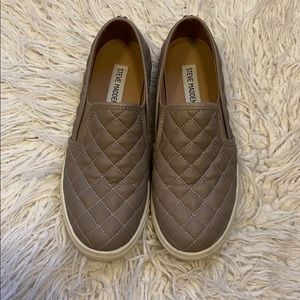 Steve Madden Sneakers